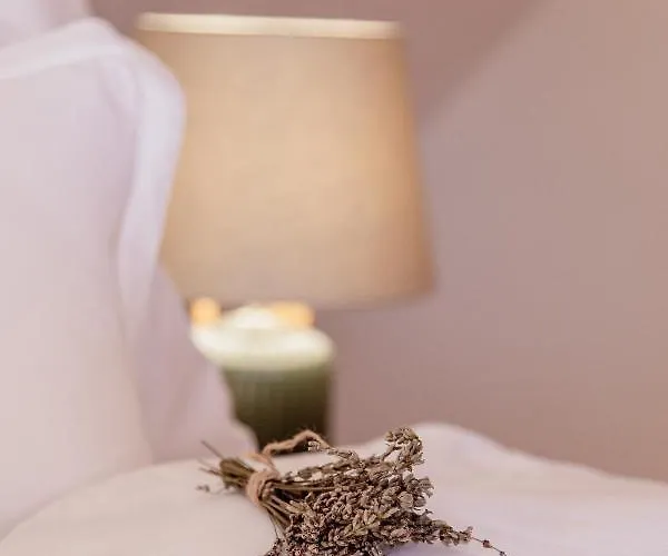 Winzerhaeuser Schippinger 公寓 *